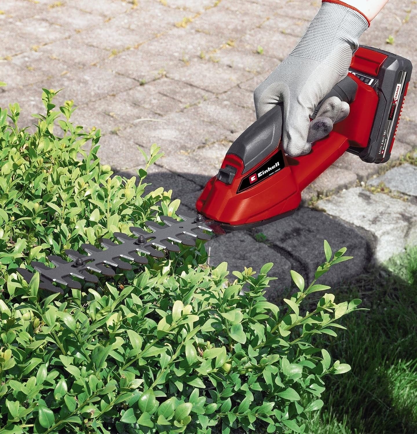 Einhell Akku-Gras- und Strauchschere 18 V - 33% Rabatt