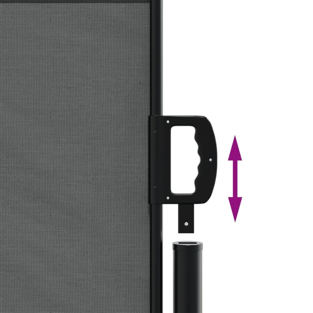 Vidaxl Seitenmarkise 140x300 cm Anthrazit - 34% Rabatt auf Retourenware