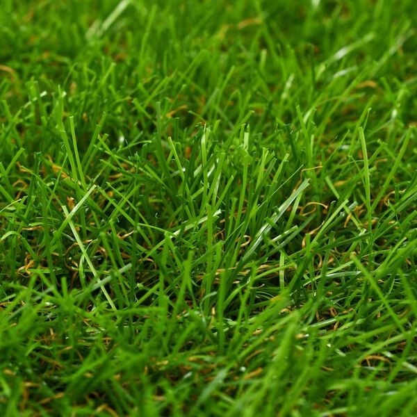 Vidaxl Kunstrasen 1 x 2 m, 40 mm Florhöhe - Jetzt 32% Rabatt sichern