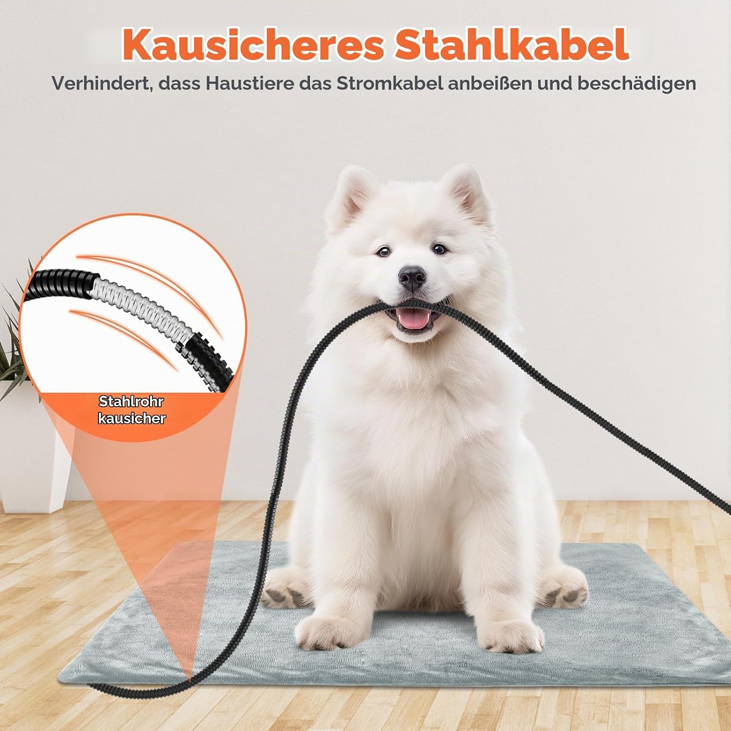 Elektrische Wärmematte 90x60cm für Haustiere - 33% Rabatt