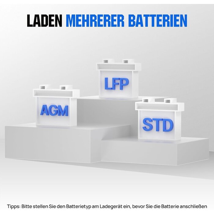 Intelligentes 12V/24V Ladegerät 20A für LiFePO4 & Blei-Säure - 34% Rabatt
