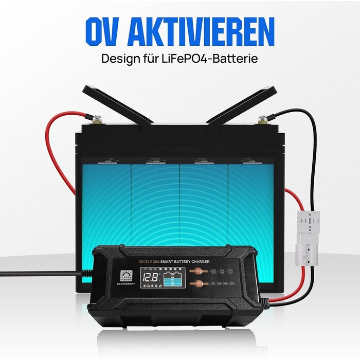 Intelligentes 12V/24V Ladegerät 20A für LiFePO4 & Blei-Säure - 34% Rabatt