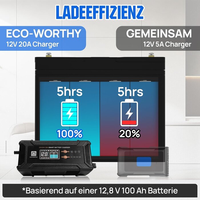 Intelligentes 12V/24V Ladegerät 20A für LiFePO4 & Blei-Säure - 34% Rabatt