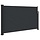 Ausziehbare Seitenmarkise 117x300 cm Schwarz - 34% Rabatt