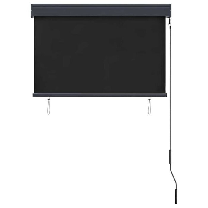 Außenrollo 100 x 250 cm Anthrazit - 34% Rabatt auf Retourenware