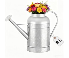 Gießkanne aus verzinktem Stahl 8,5 Liter - 38% Rabatt