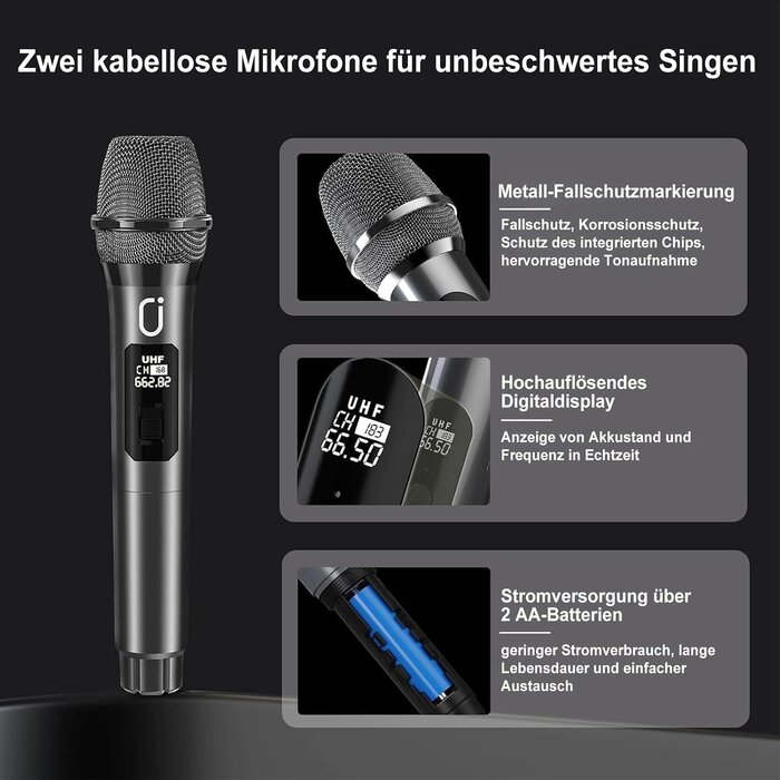 Tragbare Karaoke-Partybox mit 2 Mikrofonen - 80W Bluetooth Lautsprecher 34% Rabatt