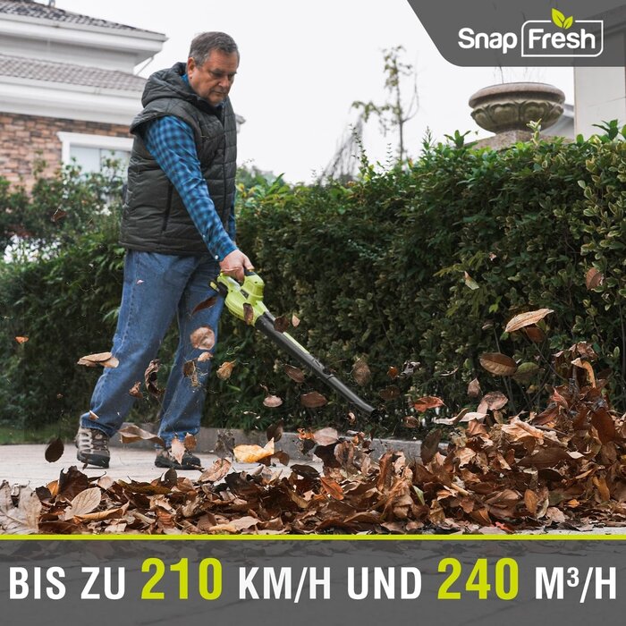 Akku-Laubbläser 20V, 209 km/h, 1,2 kg - 34% Rabatt