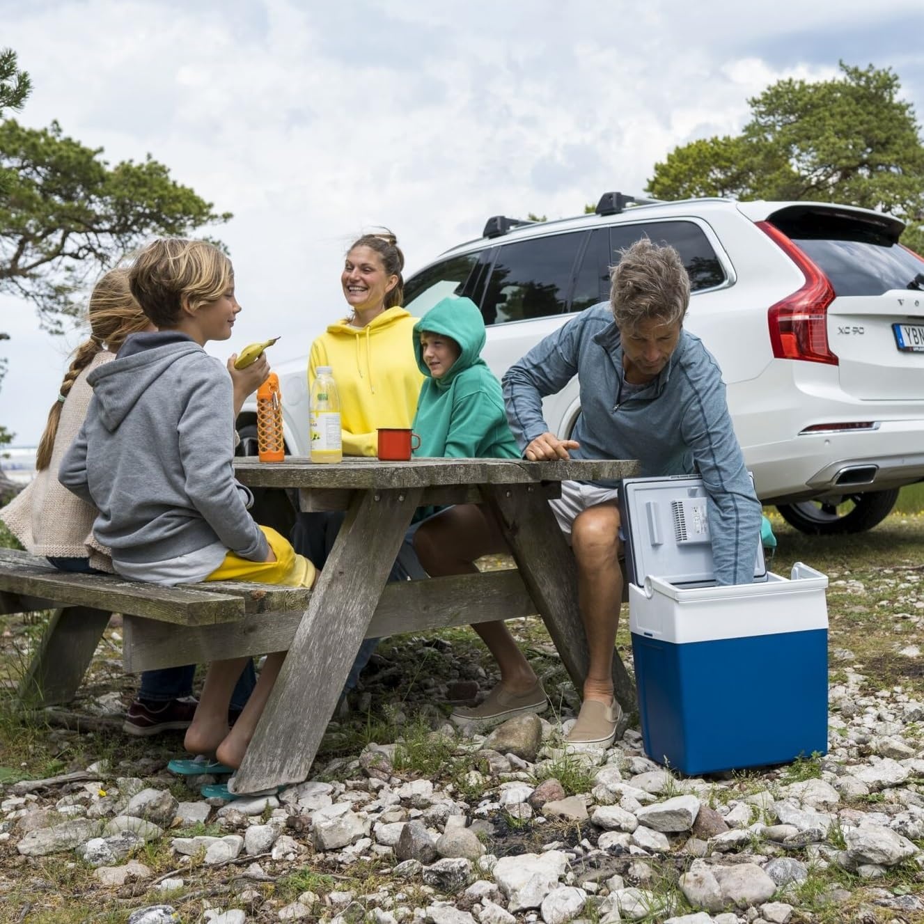 Elektrische Kühlbox 26L - 12V/230V für Camping & Auto - 34% Rabatt