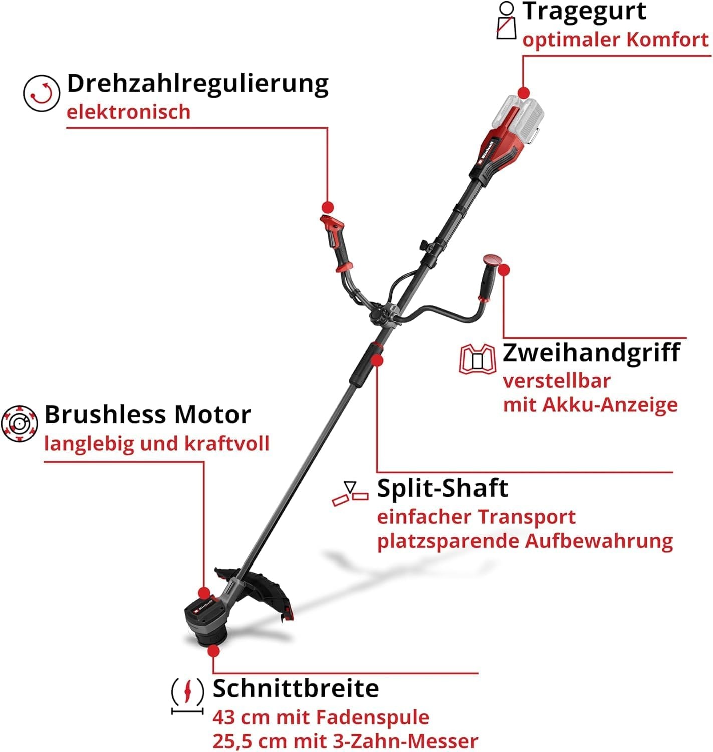 Akku-Motorsense 36V 43cm Schwarz-Rot L - 35% Rabatt