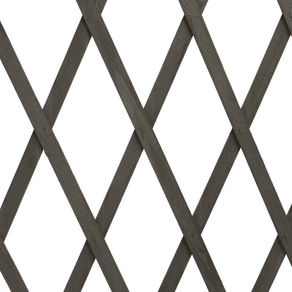 Ausziehbares Fichtenholz-Gartenspalier Grau 180x100cm - 31% Rabatt