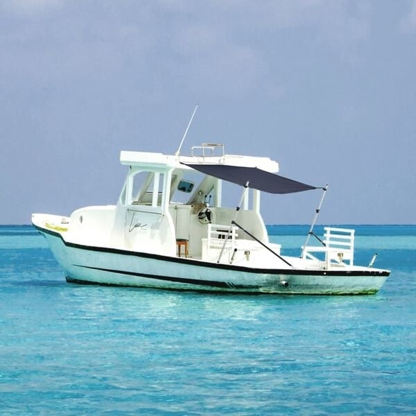 Vidaxl T-Top Sonnensegel für Boote 170x170cm Blau - 35% Rabatt