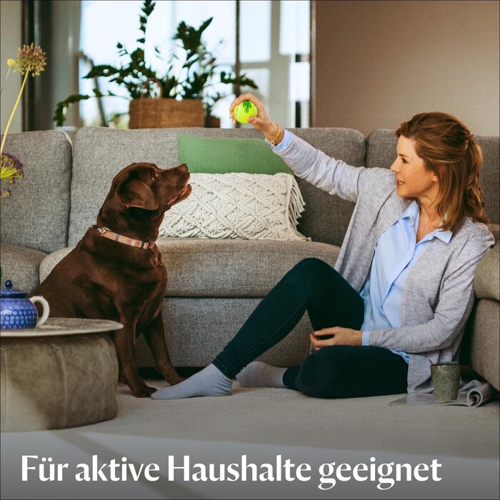 Teppich- & Polsterreiniger 800W mit HeatWave-Technologie - 35% Rabatt