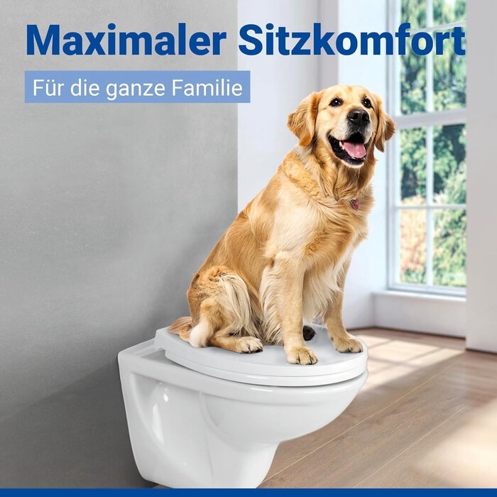 WC-Sitz Ostuni Oval Softclose Weiß - 300 kg Tragkraft - 31% Rabatt