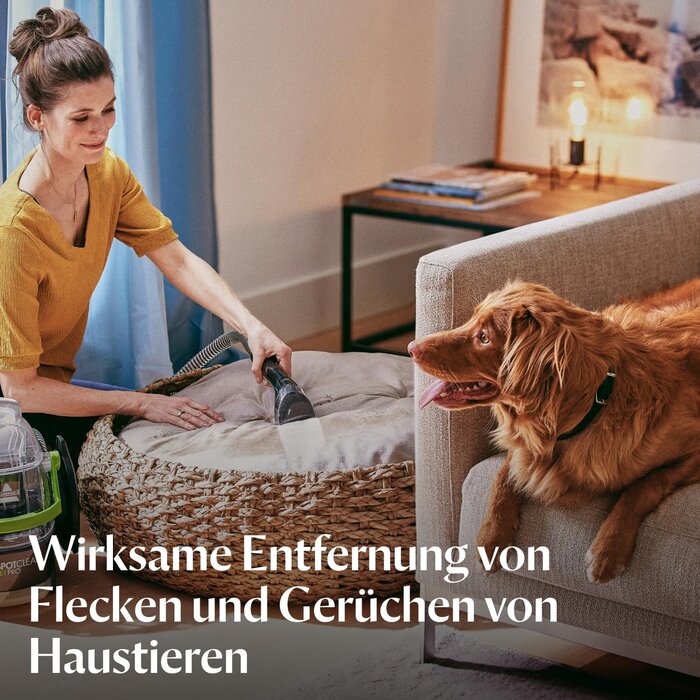 Tragbarer Fleckenreiniger 750W für Polster & Teppich - 35% Rabatt