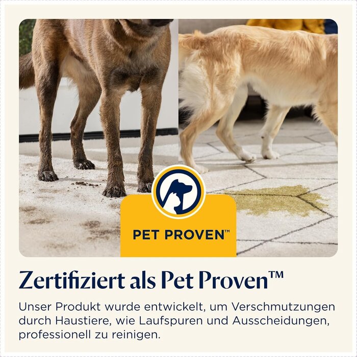 Tragbarer Fleckenreiniger 750W für Polster & Teppich - 35% Rabatt