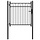 Gartentor BAARLO 100x100 cm Metall Schwarz - 34% Rabatt
