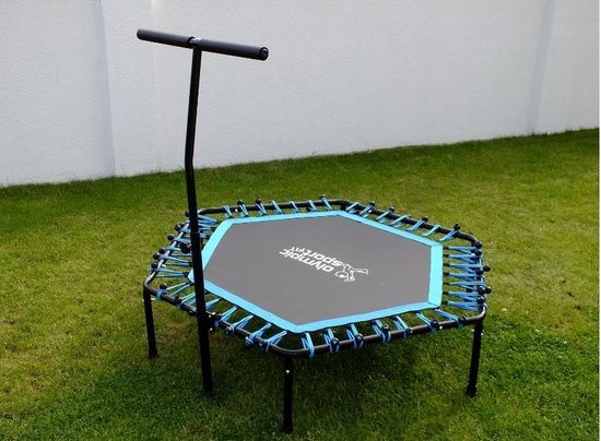https://cdn.webshopapp.com/shops/307649/files/342801063/1-fitness-trampoline---jumping-fitness---110-cm.jpg
