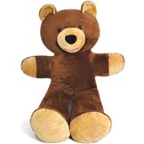 XXL teddybeer - bruin - 170 cm