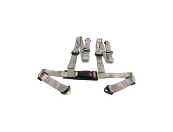 Gordel zilver 4 punts