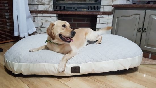 XXL Hondenbed van kunstleer - hondenkussen hondensofa kattenbed hondenkorf - waterdicht 130 X 80 cm