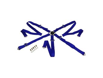 Gordel blauw 5 punts