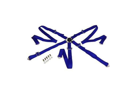 Gordel blauw 5 punts