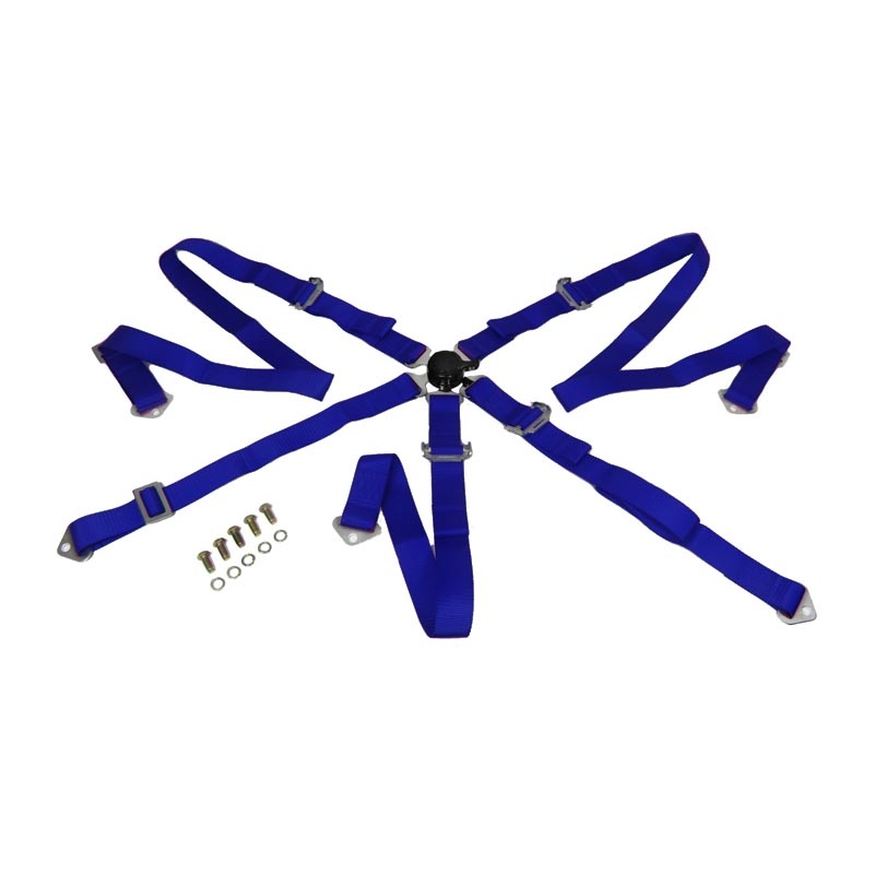 Gordel blauw 5 punts