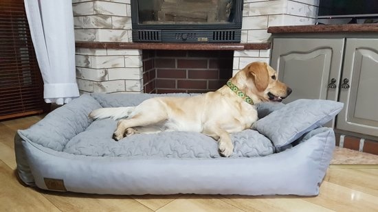 XXL Hondenbed van kunstleer - hondenkussen hondensofa kattenbed hondenkorf - waterdicht - 120x90