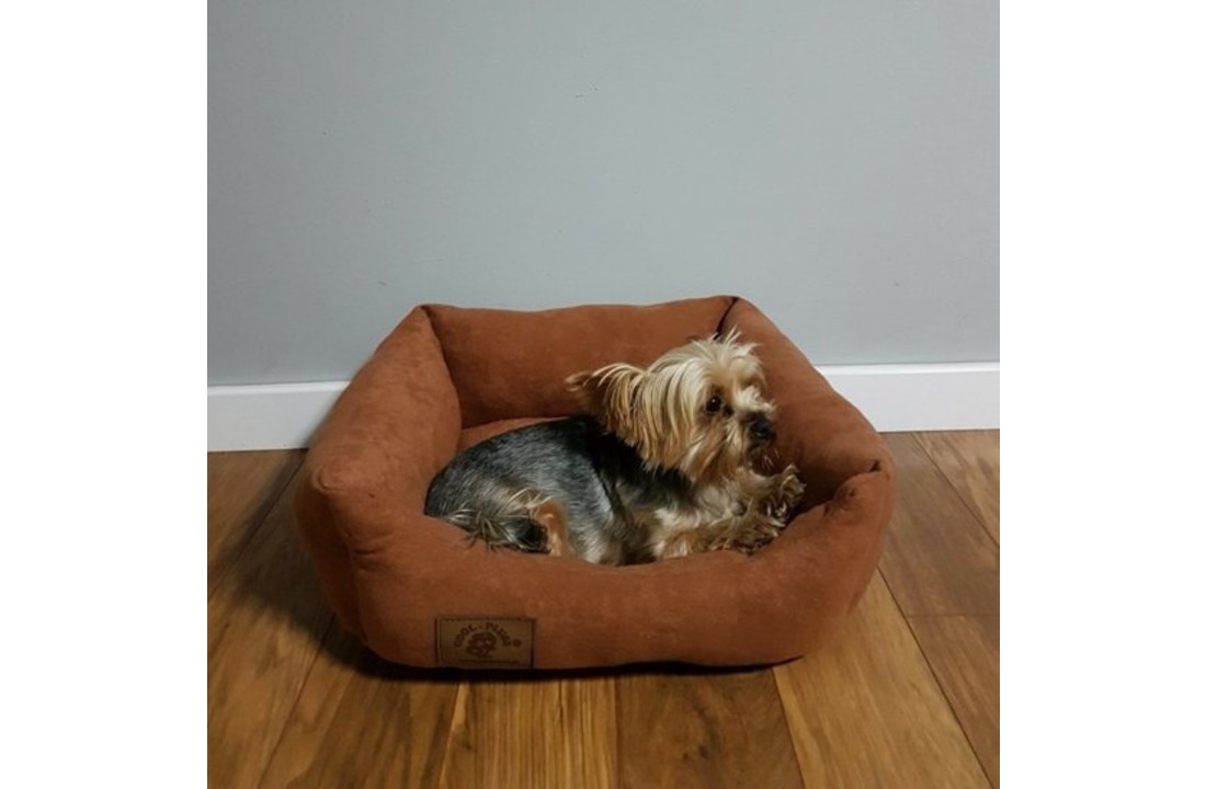 Hondenmand - S - kleine hond - 50 x 40 cm - bruin - hondenbed
