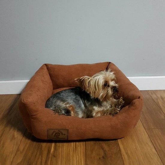 Hondenmand - S - kleine hond - 50 x 40 cm - bruin - hondenbed