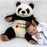 Pluche knuffel - Reuzenpanda beer - i love you forever - 55 cm