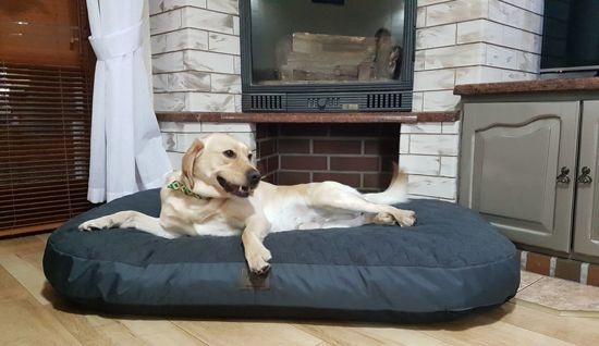 XXL Hondenbed - hondenkussen hondensofa kattenbed hondenkorf - waterdicht 130 X 80 cm