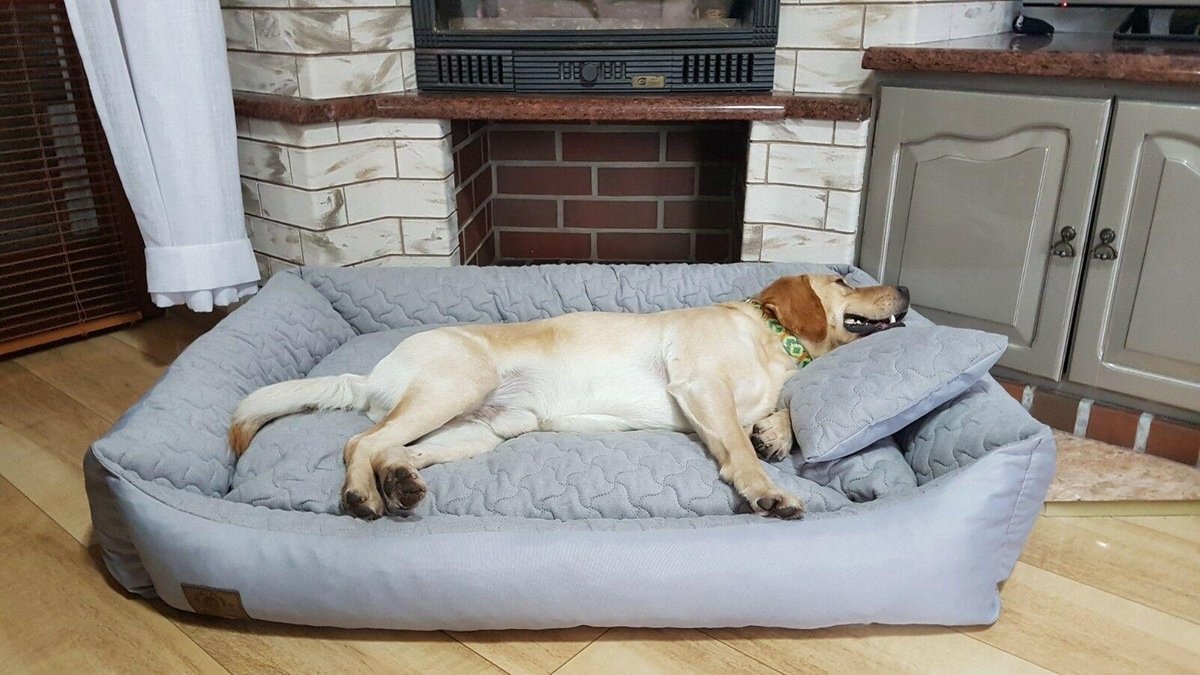 Hondenmand grijs met kussen 120x90 cm - wasbaar hondenkussen - waterdicht hondenbed