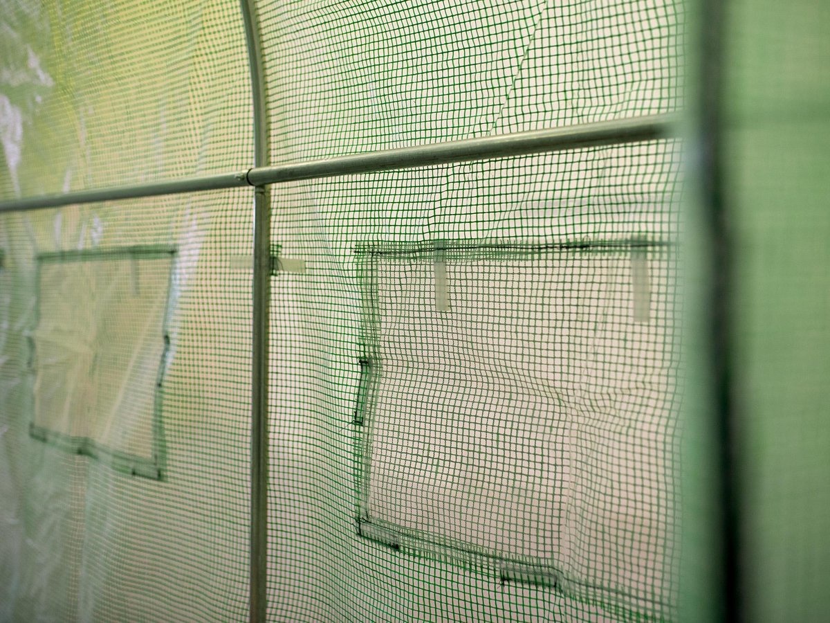 Tuinkas groen van PE-folie en metaal 200x300 cm hobbykas 6m2 oppervlakte