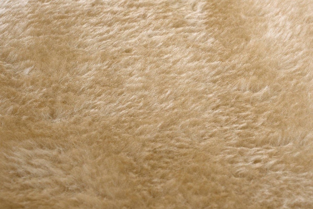 Krabpaal kattenboom XXL 170 x 49 x 49 cm beige