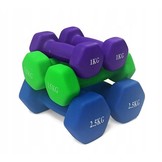 Dumbell combinatie set 10 kg totaal - met koffer