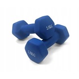 Dumbell combinatie set 10 kg totaal - met koffer