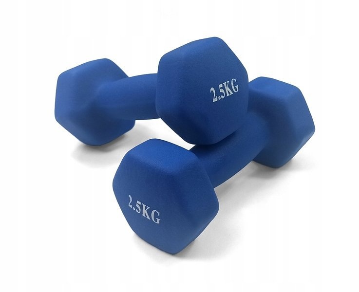 Dumbell combinatie set 10 kg totaal - met koffer