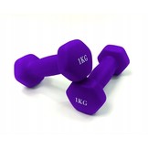 Dumbell combinatie set 10 kg totaal - met koffer
