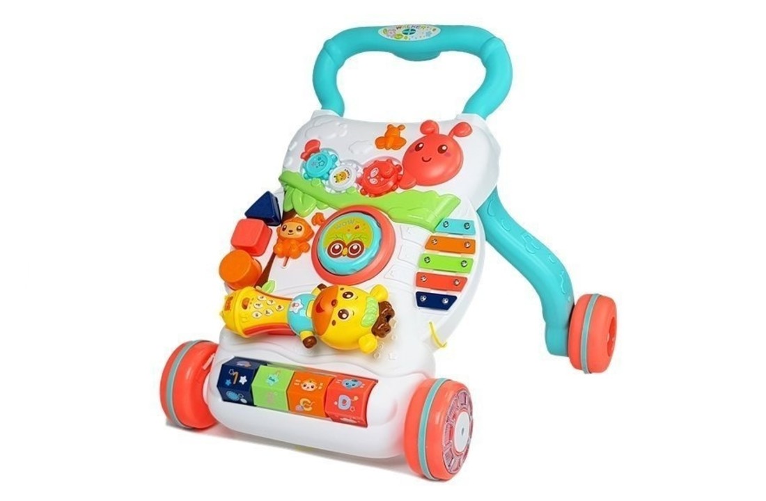Loopwagen baby - Loopkar - educatief speelgoed