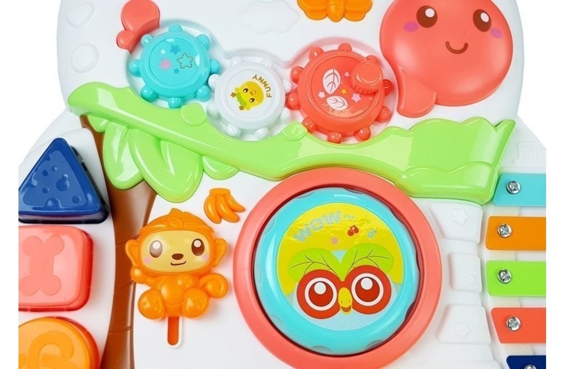 Loopwagen baby - Loopkar - educatief speelgoed