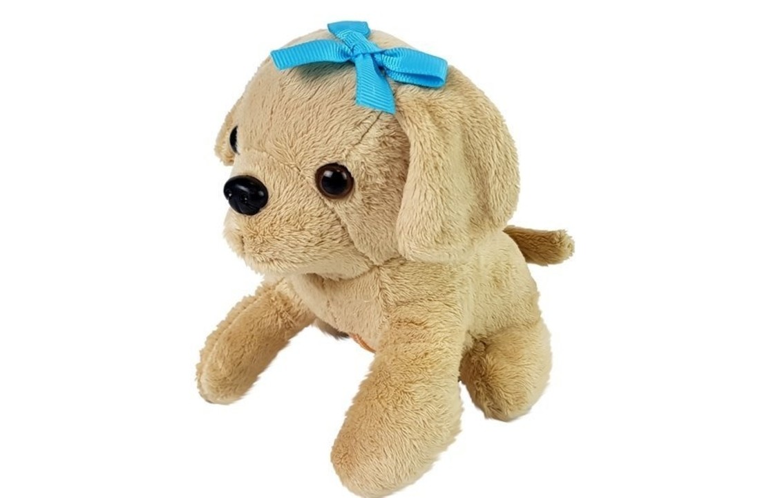 Dierenarts speel set met pluche hond – Interactief