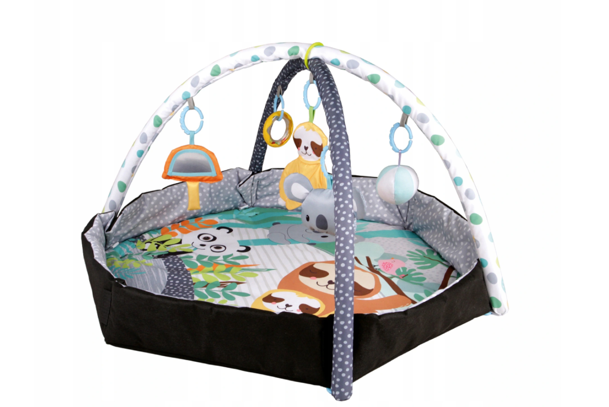 Interactieve Speelmat voor baby's met ballenbak Vikingchoice.nl