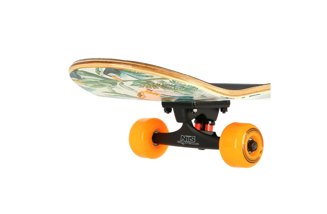 Skateboard - compleet - papegaai design - 78 cm - 7.87 inch
