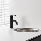 Badkamer wastafel kraan staande zwarte kraan