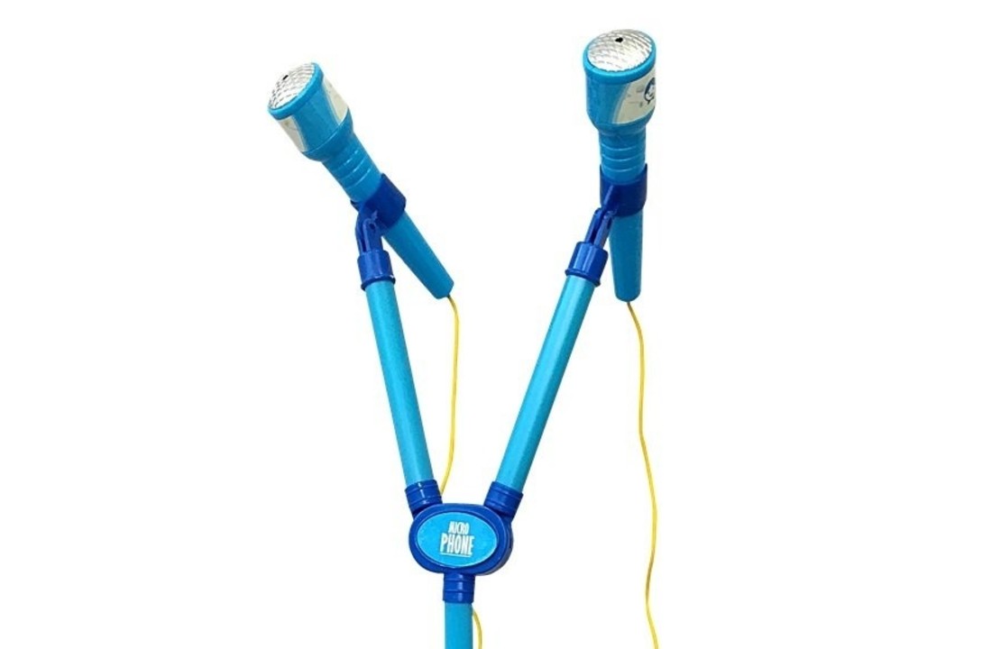 Kinder karaoke set met microfoon standaard 2 microfoons Vikingchoice.nl