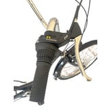 Driewieler fiets - zwart - 7 versnellingen