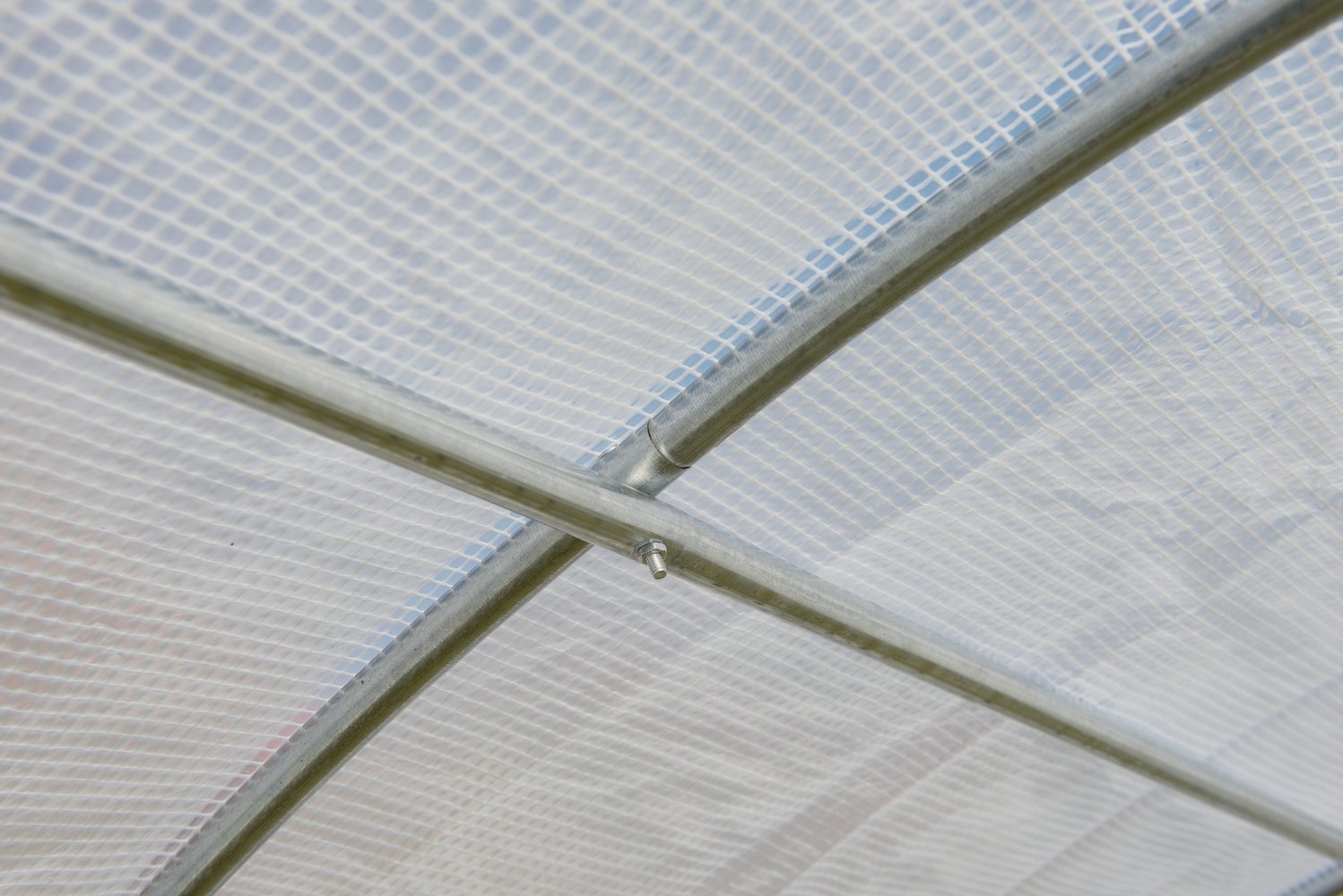 Folietunnel - kweekkas met ramen - 600 x 300 x 200 cm - wit