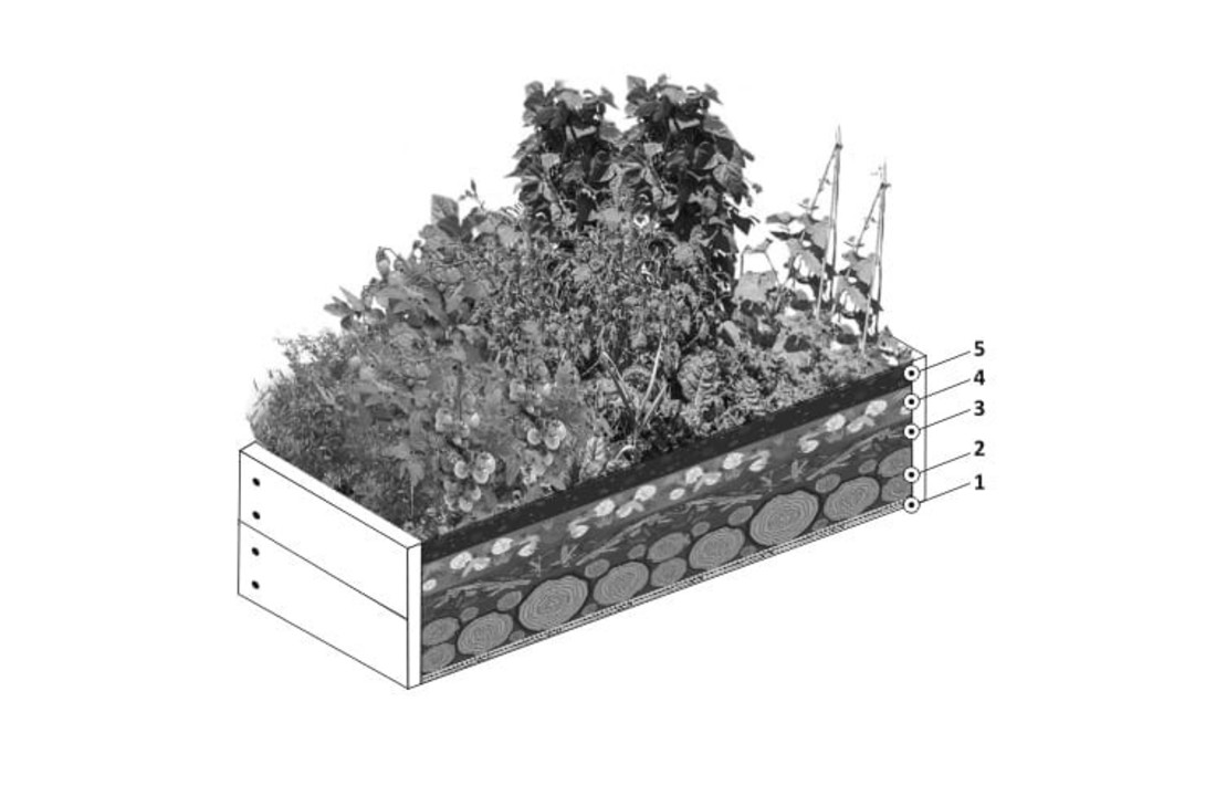 Moestuinbak 200x150x18cm - naaldhout - 3 groentezaden - gratis